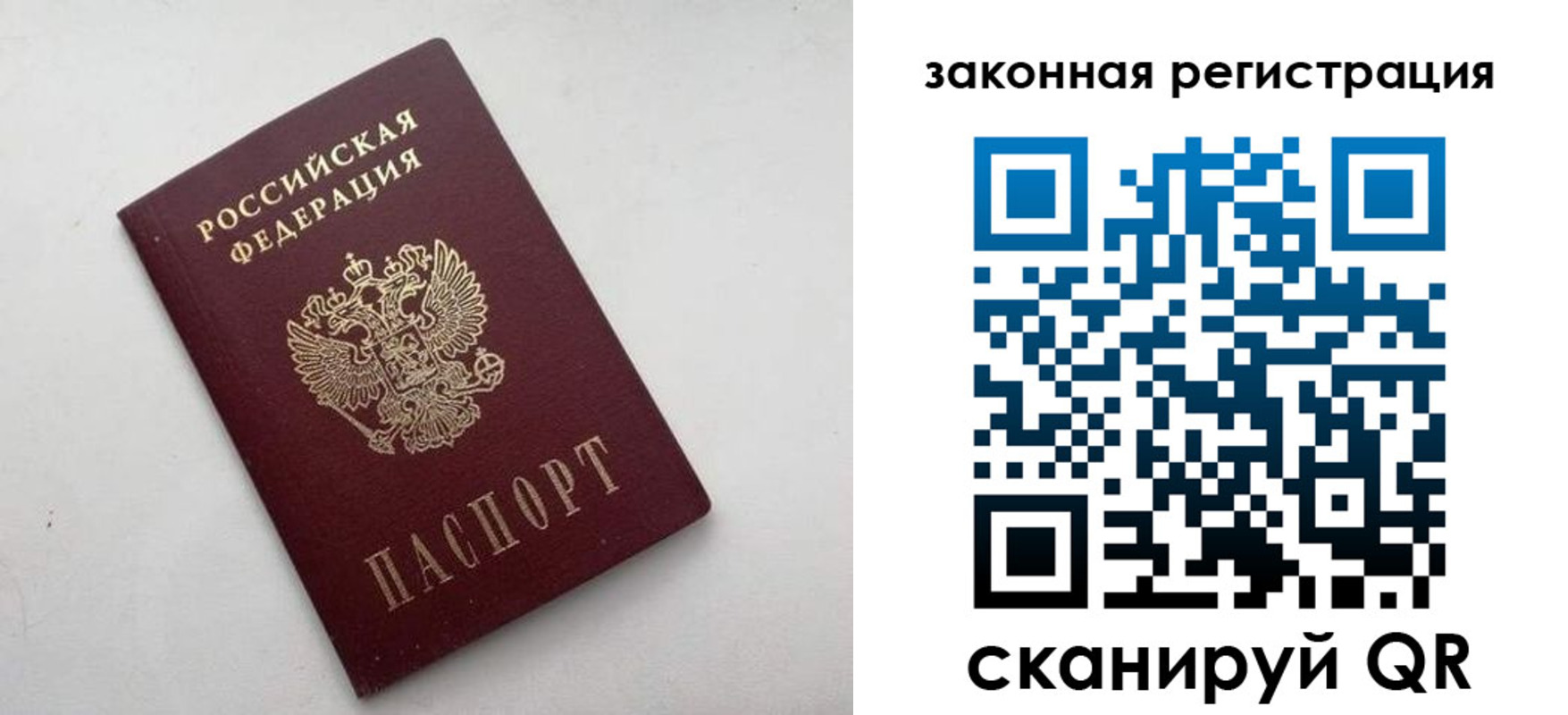 прописка 2025 в Краснозаводске